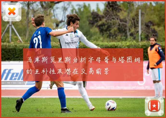 马库斯莫里斯分析字母哥与塔图姆的互补性及潜在交易前景